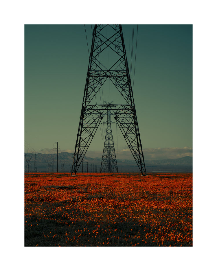 Power line constructions captured from straight ahead standing on a poppy field.