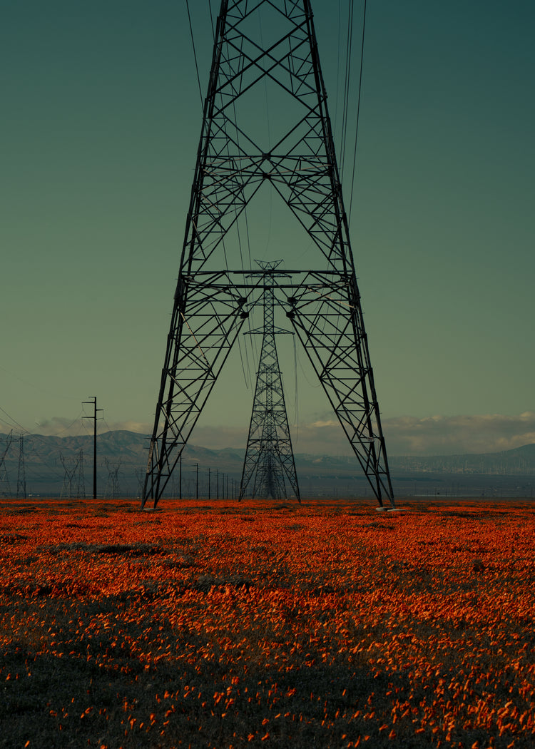 Power line constructions captured from straight ahead standing on a poppy field.