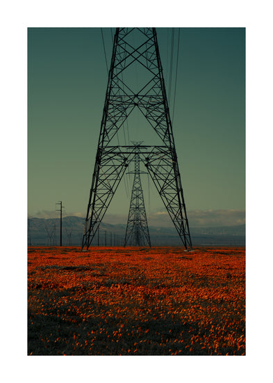 Power line constructions captured from straight ahead standing on a poppy field.