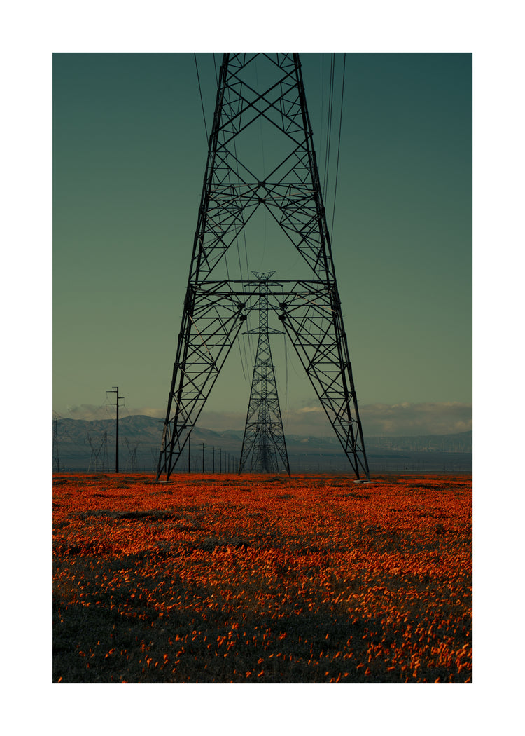 Power line constructions captured from straight ahead standing on a poppy field.
