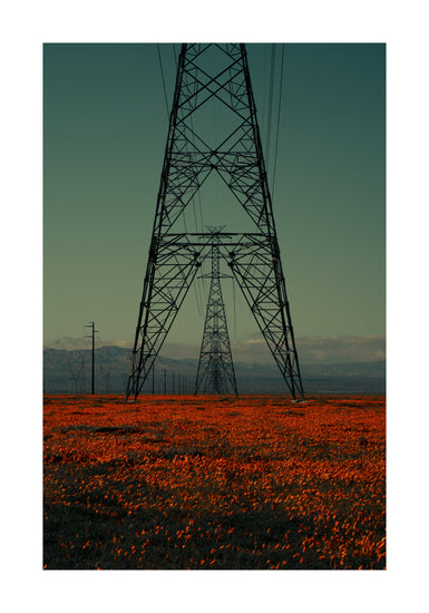 Power line constructions captured from straight ahead standing on a poppy field.