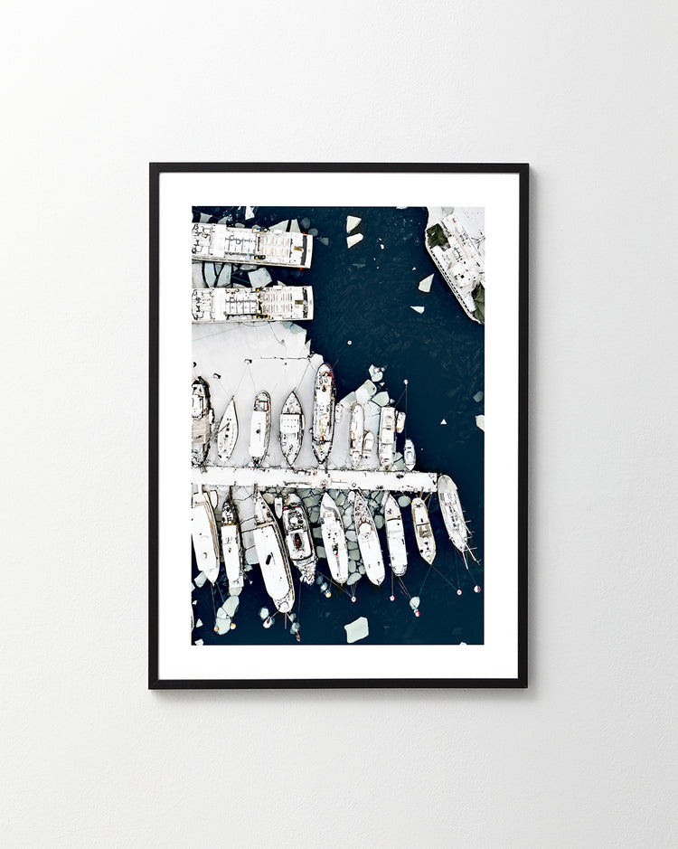 In Dormancy Poster