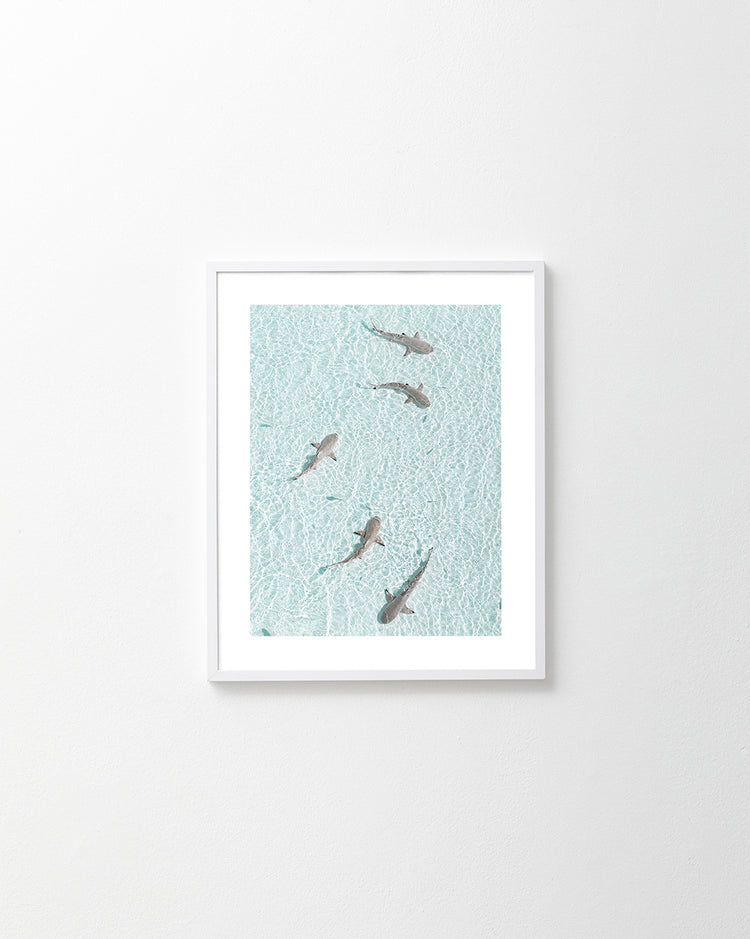 The On Patrol Poster features five small sharks gliding through clear, turquoise waters against a plain white wall backdrop, evoking the subtle essence of background music echoing the Jaws theme.