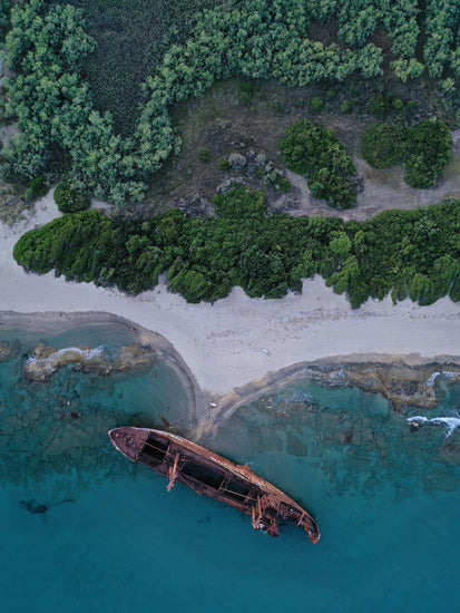 A shipwreck washed up on shore laying between the blue ocean and a green forest.
