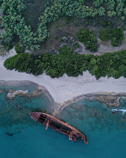 A shipwreck washed up on shore laying between the blue ocean and a green forest.