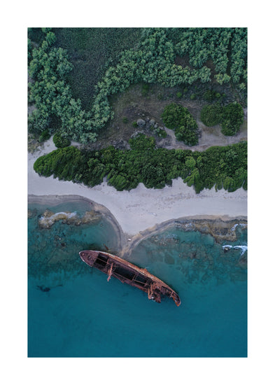 A shipwreck washed up on shore laying between the blue ocean and a green forest.