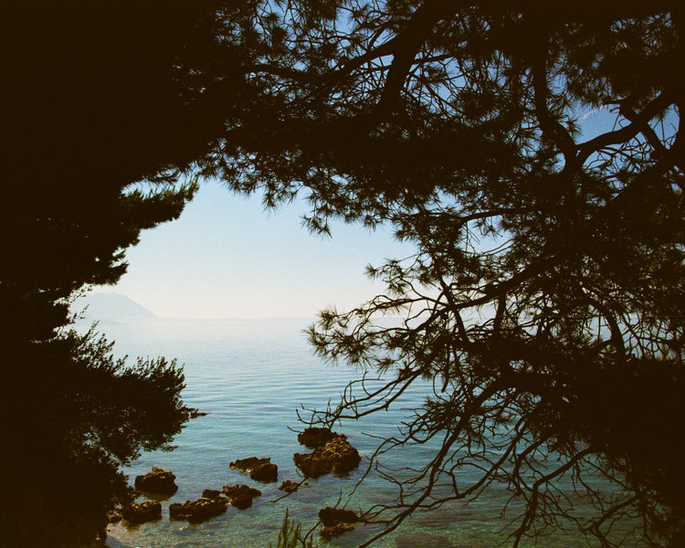 View of the Mediterranean Sea framed by outlines of trees.