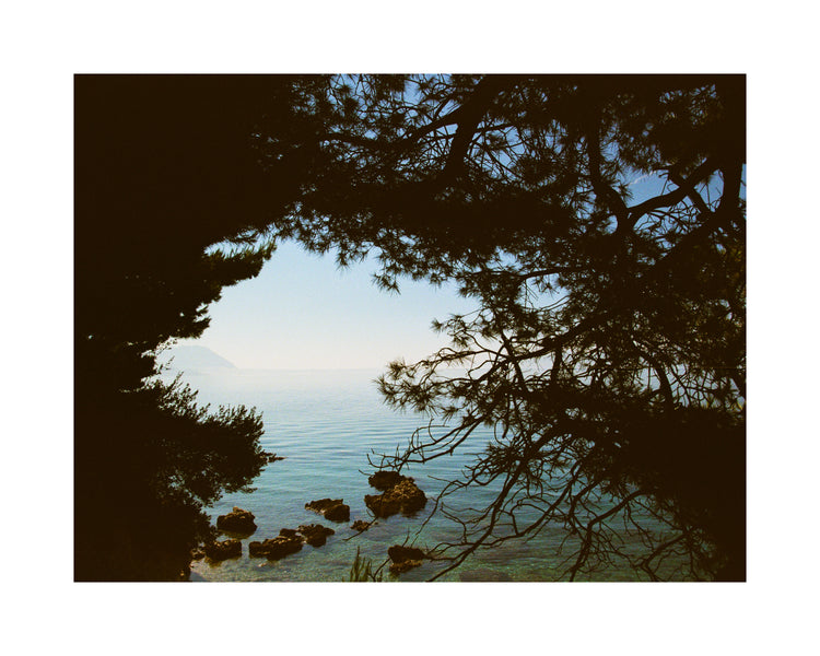 View of the Mediterranean Sea framed by outlines of trees.