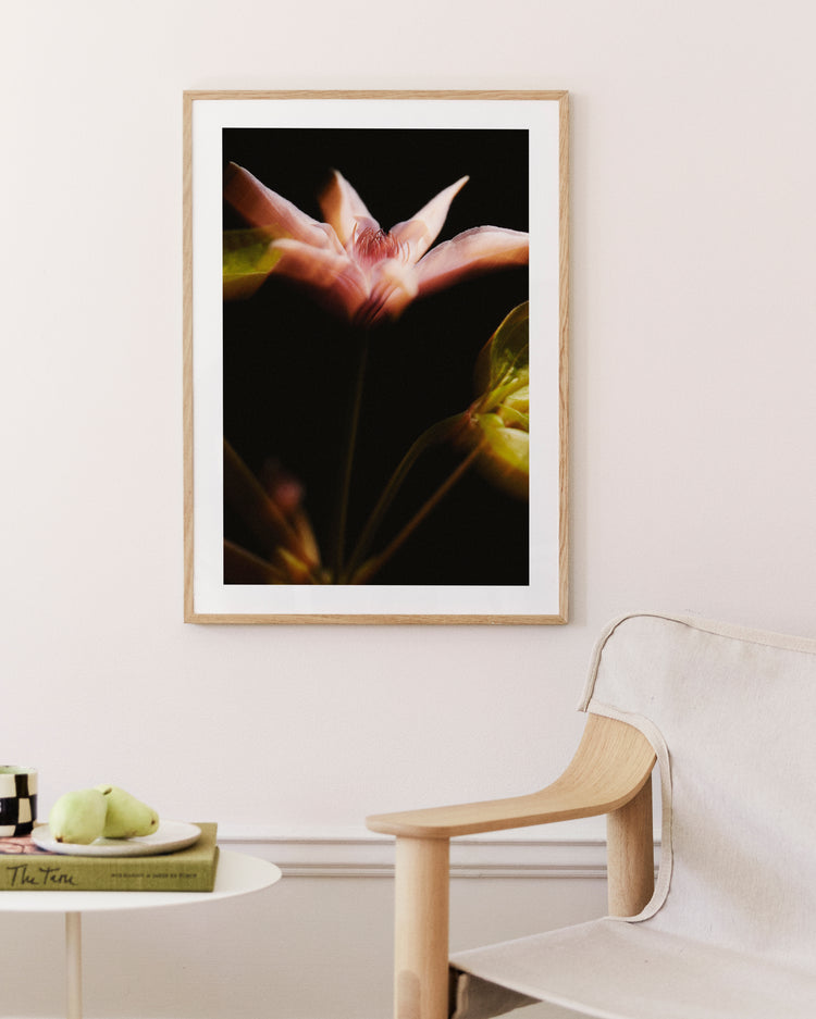 The If Monet Had a Camera I Poster hangs on a cream wall, showcasing soft pink petals. Below, a wooden chair with white cushions sits beside a table with a book and pear, capturing the timeless elegance of French girls style.