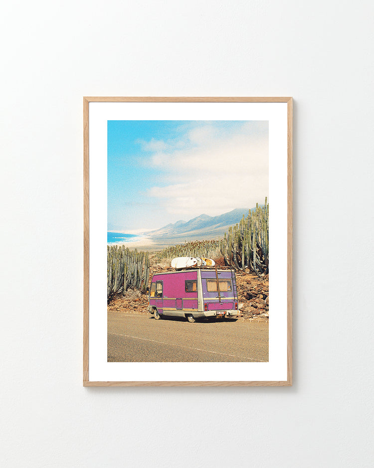 Temporary Garden I Poster