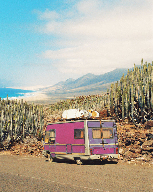 Pink trailer on the road through the dessert towards the ocean coast.