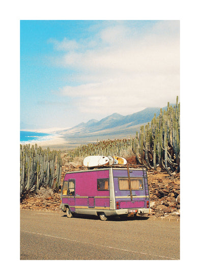 Pink trailer on the road through the dessert towards the ocean coast.