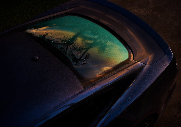 Sunset sky and outlines of palm trees reflected in a rain-stained car window.