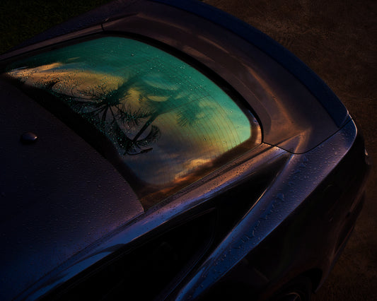 Sunset sky and outlines of palm trees reflected in a rain-stained car window.